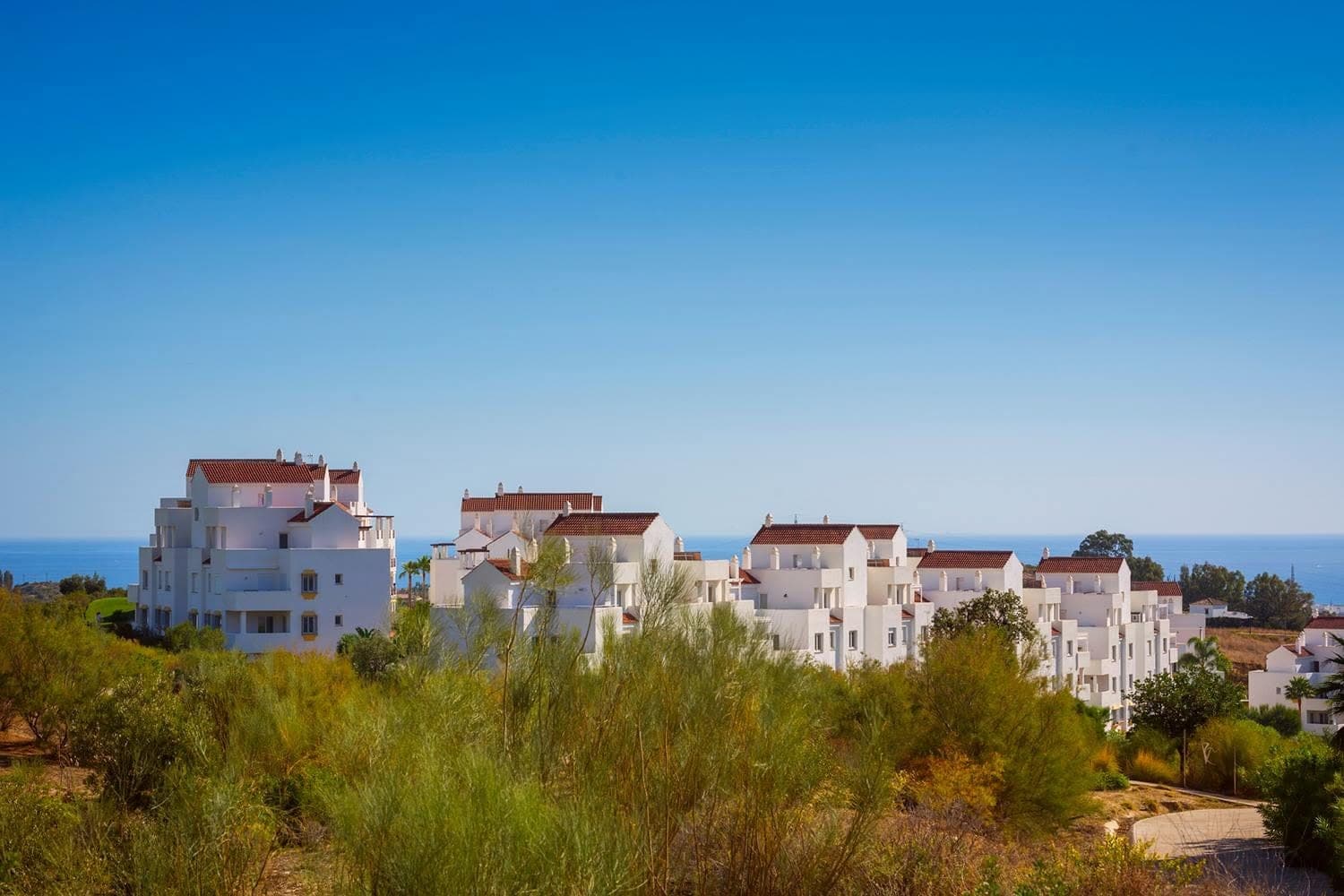 White apartment buildings on a hillside above the sea